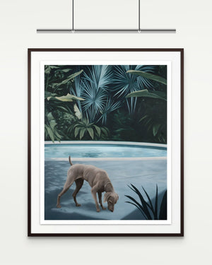 Morning Solitude 2024 by Andrew Kayser, framed archival pigment print