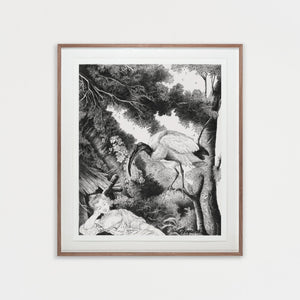 The Small Prim Mouth,Limited Edition Archival Pigment Print - Andrew Kayser Editions