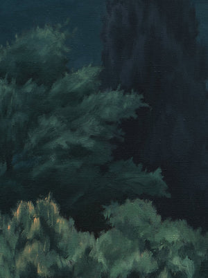 Moonlight,Limited Edition Archival Pigment Print - Andrew Kayser Editions