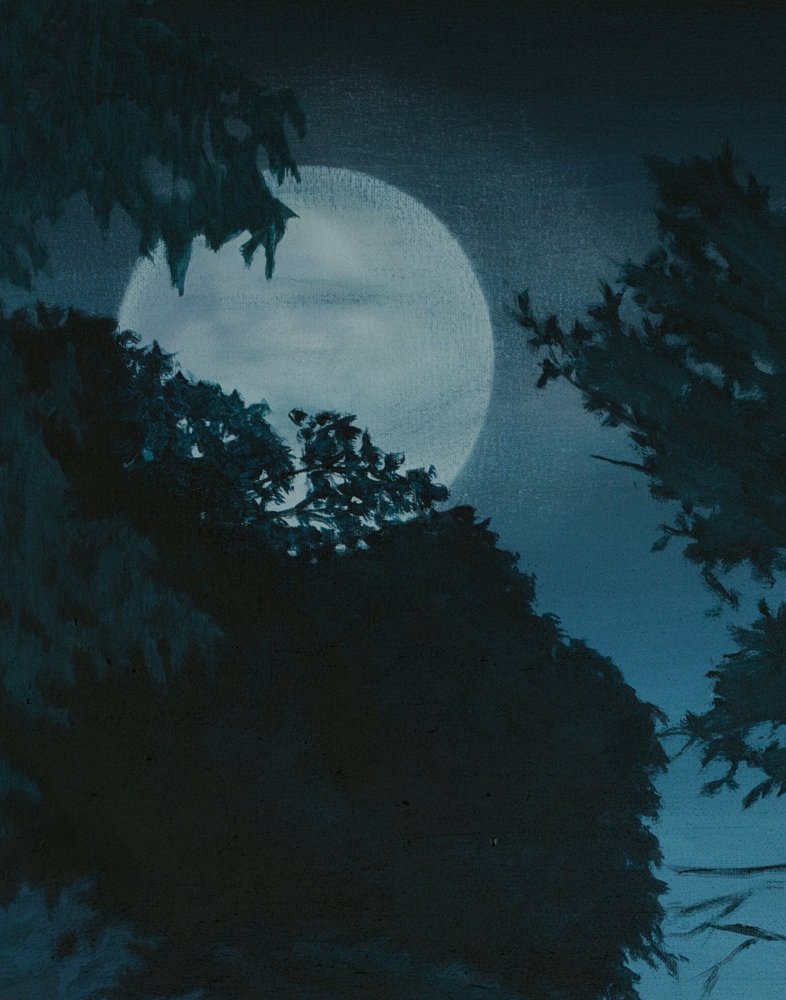 After Midnight 2024 — detail of archival pigment print on 308gsm Hahnemühle Photo Rag by Andrew Kayser