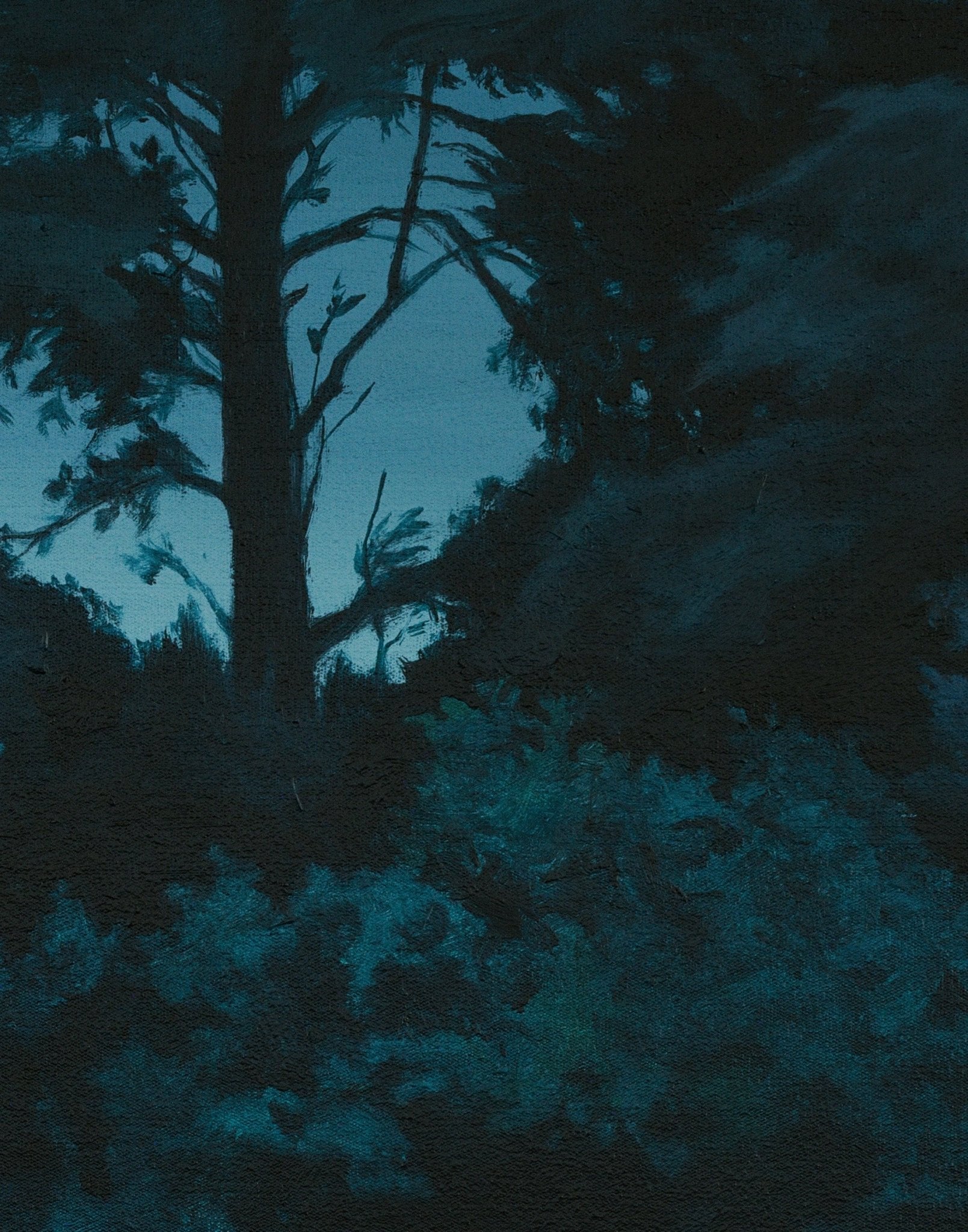 After Midnight 2024 — detail of archival pigment print on 308gsm Hahnemühle Photo Rag by Andrew Kayser