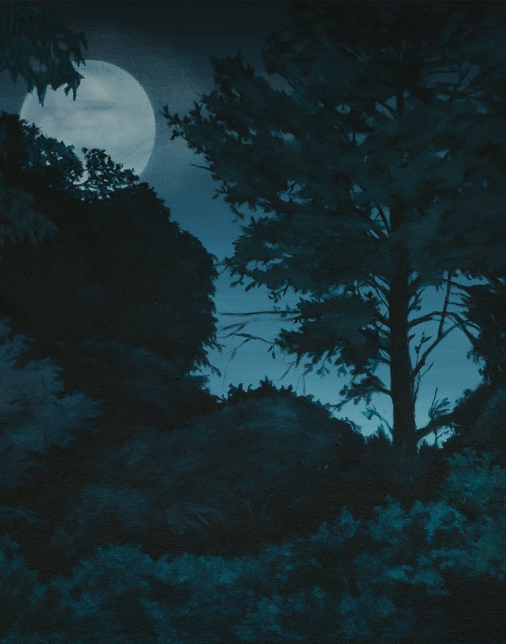 After Midnight 2024 — detail of archival pigment print on 308gsm Hahnemühle Photo Rag by Andrew Kayser