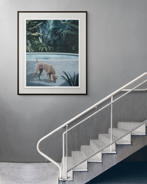 Morning Solitude 2024 by Andrew Kayser, framed archival pigment print shown in interior setting