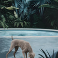 Morning Solitude,Limited Edition Fine Art Reproduction - Andrew Kayser Editions